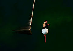 photo "I wish I could fly !!"