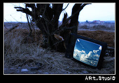 photo "Color dreams"