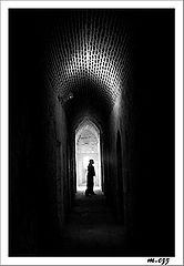 фото "Trapped"