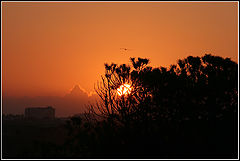 photo "SUNSET"