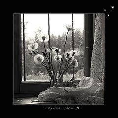photo "***"