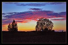photo "***"
