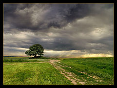 photo "Under heavy sky"