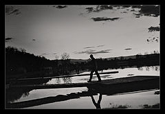 фото "*"