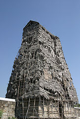 фото "indian series"