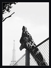 photo "***"
