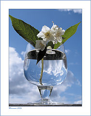 фото "Bright day"