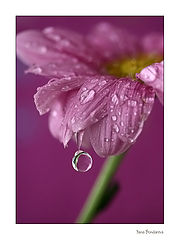 photo "***"