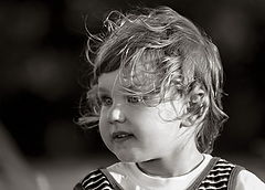 фото "ветер"