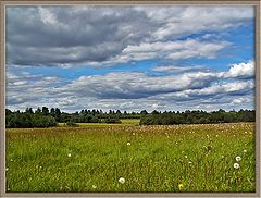 photo "Time of a haymaking"