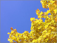 photo "***"