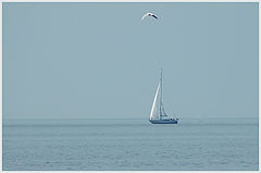 photo "Sailing"