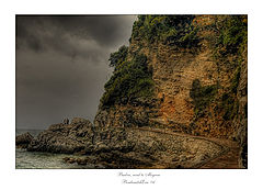 photo "...road to the beach..."