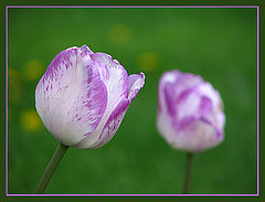 photo "Two..."
