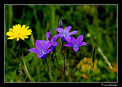 фото "no title"