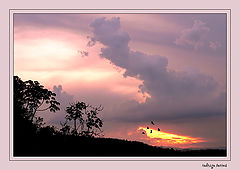 фото "purple sunset"