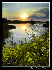 photo "***"
