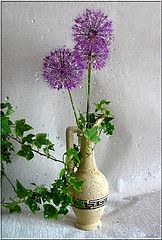 фото "летний дождь"