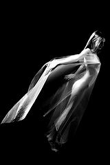 фото "My white bird"