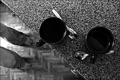 photo "Pairs"
