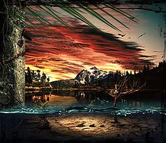 photo "***"