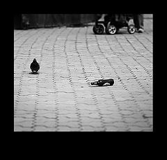 photo "***"