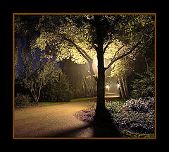 фото "Tale Tree"