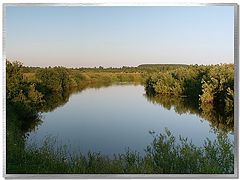 photo "Summer tranquillity - II"