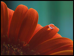 фото ")o"