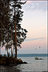 photo "***"