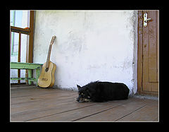 photo "***"