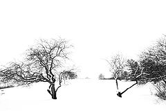 photo "***"