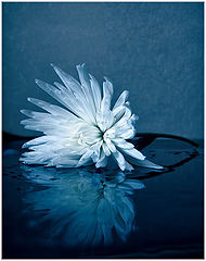 photo "***"
