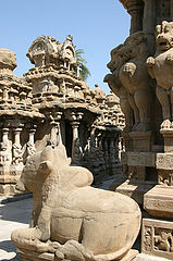 photo "indian series"