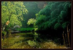 фото "very quiet place for dreaming"