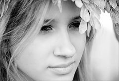 photo "Whether in a wreath.. Whether in a crown."