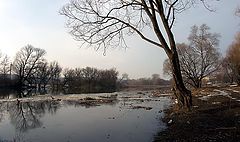 photo "Spring on Nezhegol"