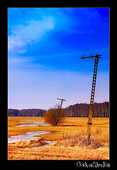 photo "***"