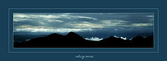 фото "ink mountain"