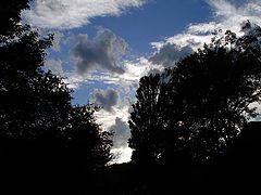 photo "Eddy"