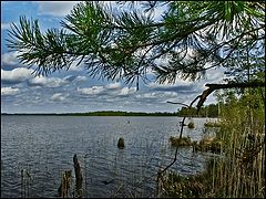 photo "Far territory"