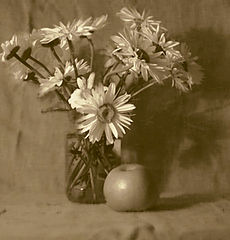 photo "***"