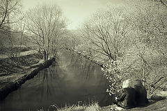 photo "***"