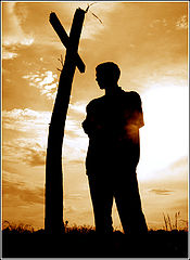 photo "***"