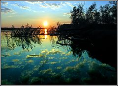 photo "***"