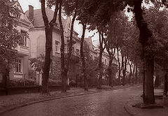 photo "high crones"