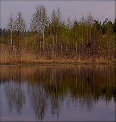 photo "***"