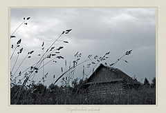 photo "Rural view"