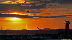 photo "Sunset on quay"