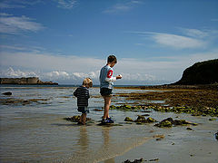 photo "Hunting for crabs."